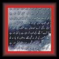 ghazal4 01 * 22.03.2008 * 466 x 654 * (64KB)